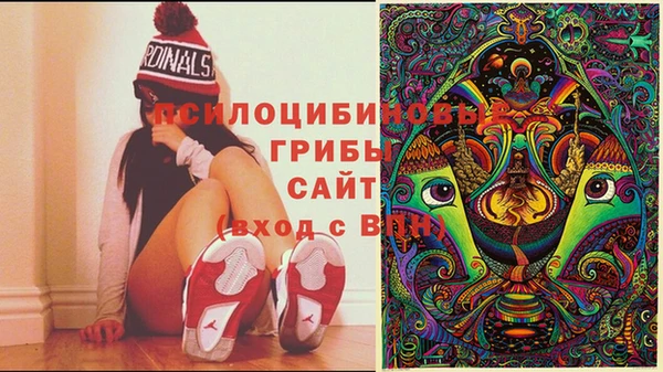 меф Надым