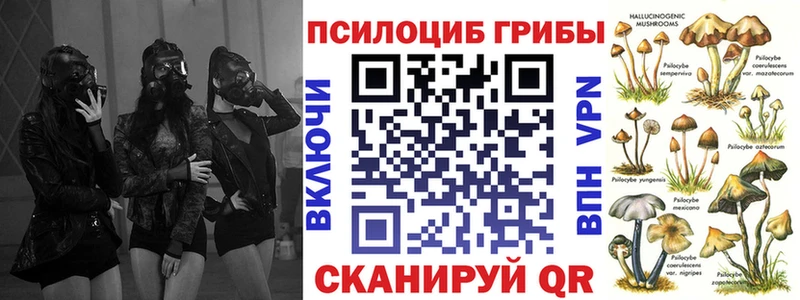 Псилоцибиновые грибы мухоморы  Купить закладки  Корсаков 